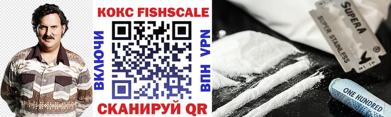 COCAIN Fish Scale  продажа наркотиков  Воркута 