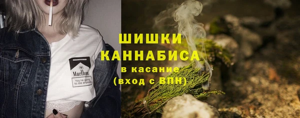 экстази Кропоткин