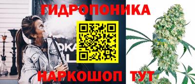 крисы Балашиха