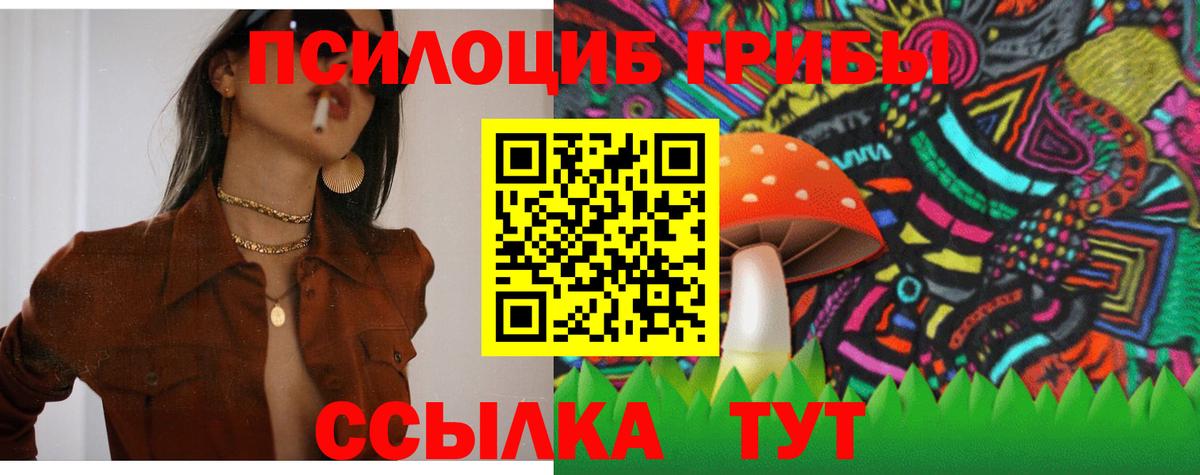 Псилоцибиновые грибы мухоморы Воркута