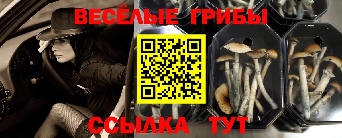 Галлюциногенные грибы Magic Shrooms  Вход с VPN  Воркута 
